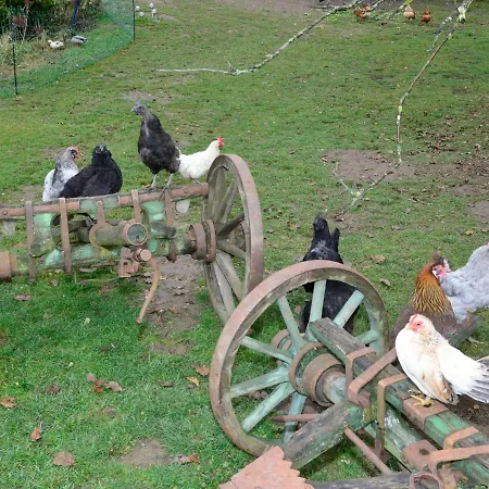 Weiss Διαμέρισμα *